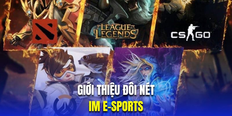 Giới thiệu đôi nét về sảnh IM E-Sports tại RR88