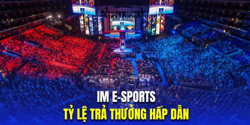 Tỷ lệ trả thưởng hấp dẫn là ưu điểm tạo nên sức hút cho IM E-Sports