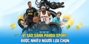 Panda Sports được yêu thích bởi đa dạng kèo