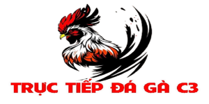 Trực tiếp đá gà C3